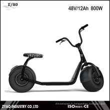 2016 Le scooter électrique à roues motrices Citycoco le plus à la mode, motocyclette électrique pour adultes